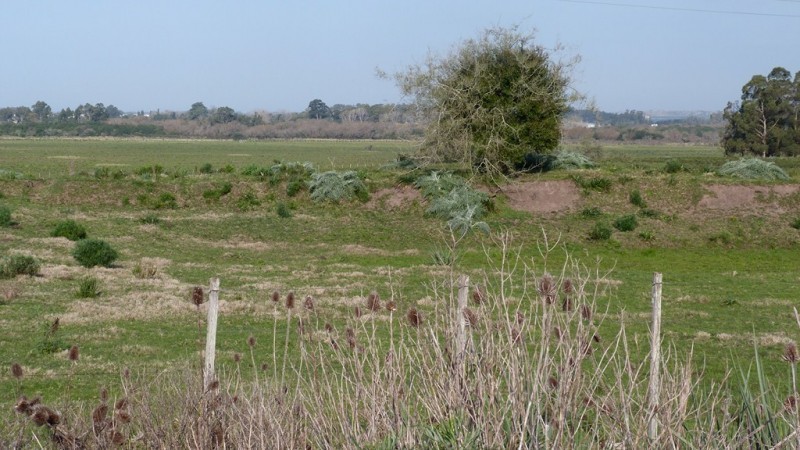 Campo sobre el arroyo Maldonado